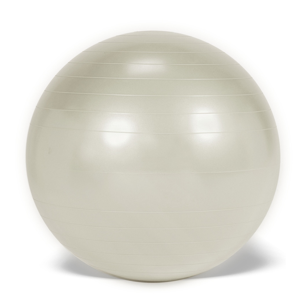 Fitball Plus BRQ Ø 75 cm | Vistawell AG/SA